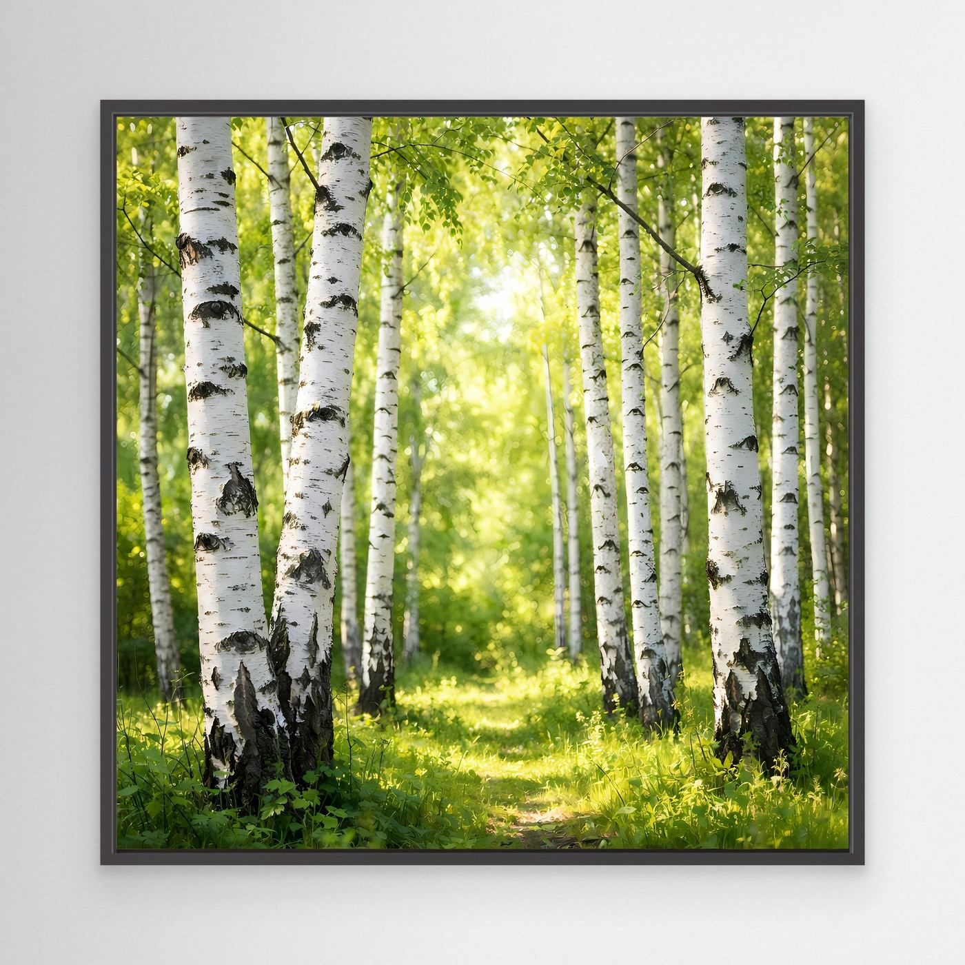 Leinwandbild Birkenwald im Sonnenlicht mit grüner Lichtung, schwarzer Rahmen
