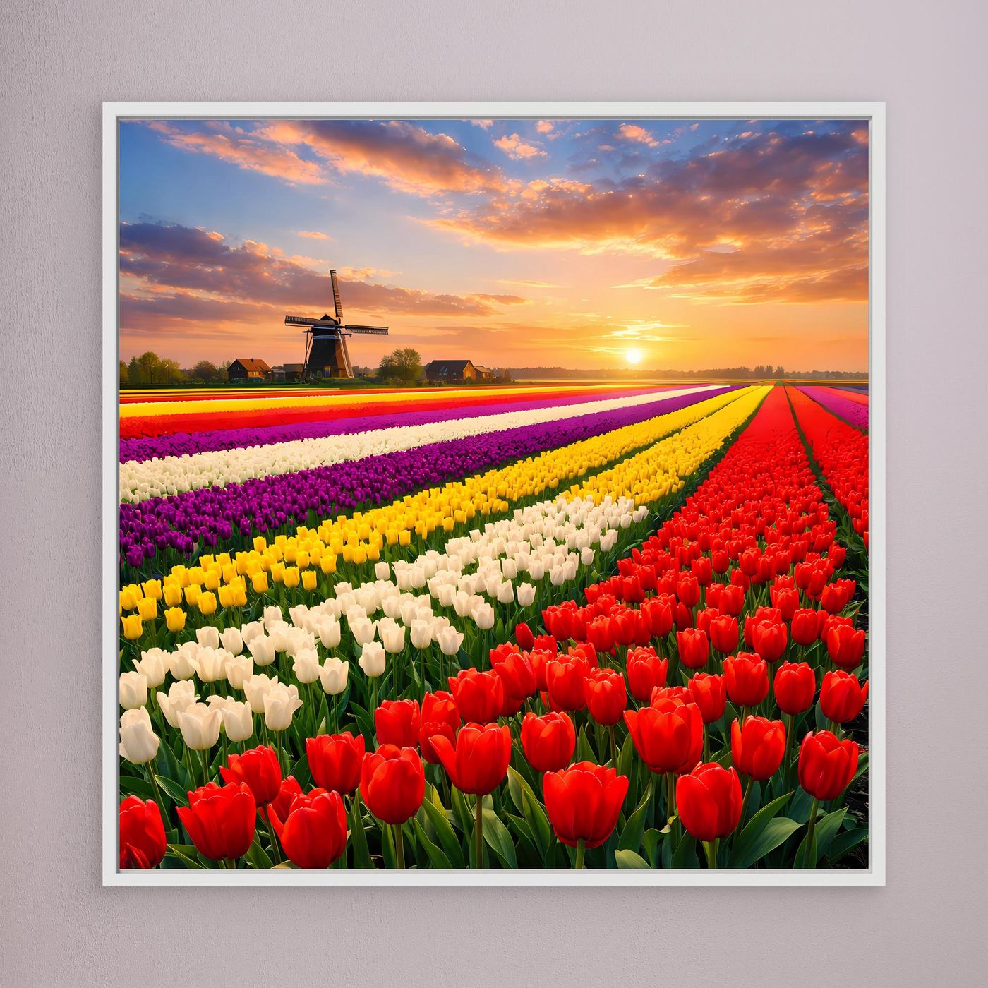 Quadratisches Leinwandbild: buntes Tulpenfeld mit Windmühle bei Sonnenuntergang, weiß umrahmt