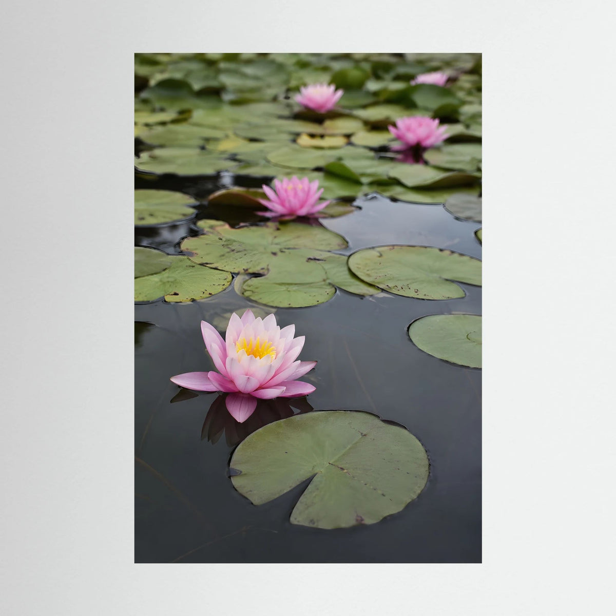Kunstdruck mit rosa Seerosen auf grünen Blättern im dunklen Teich