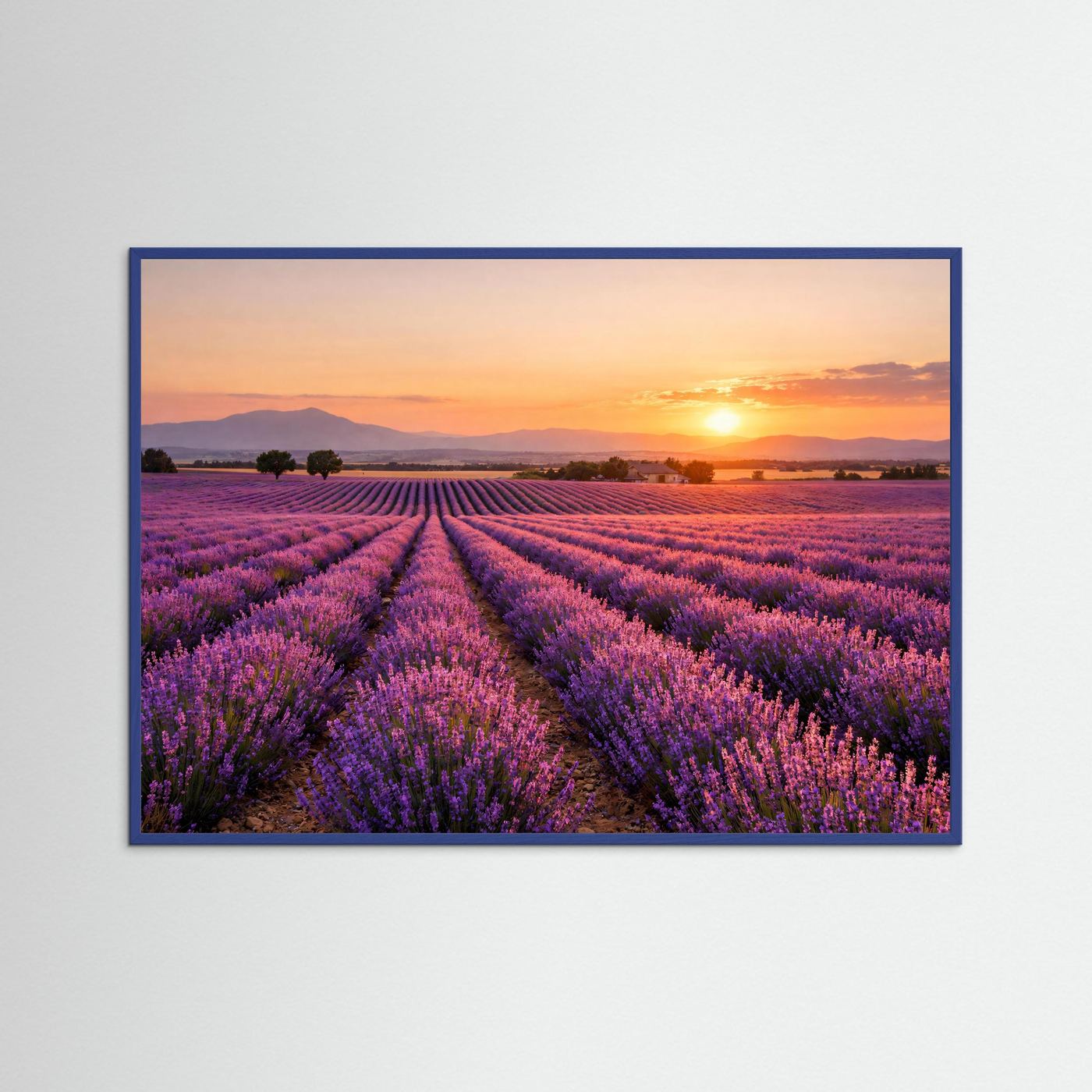 Lavendelfeld-Poster im Querformat mit blauem Rahmen, Abendsonne über Lila Feldern