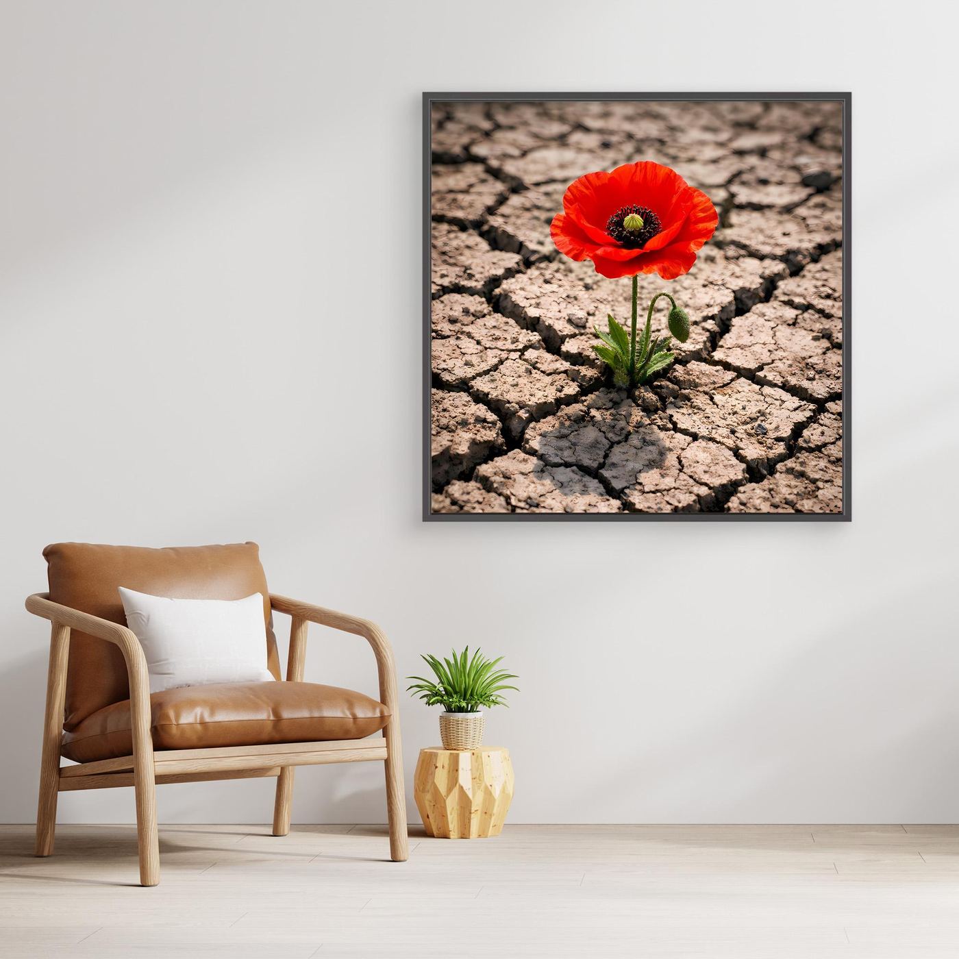 Leinwandbild mit roter Mohnblume auf rissigem Wüstenboden, schwarzer Rahmen