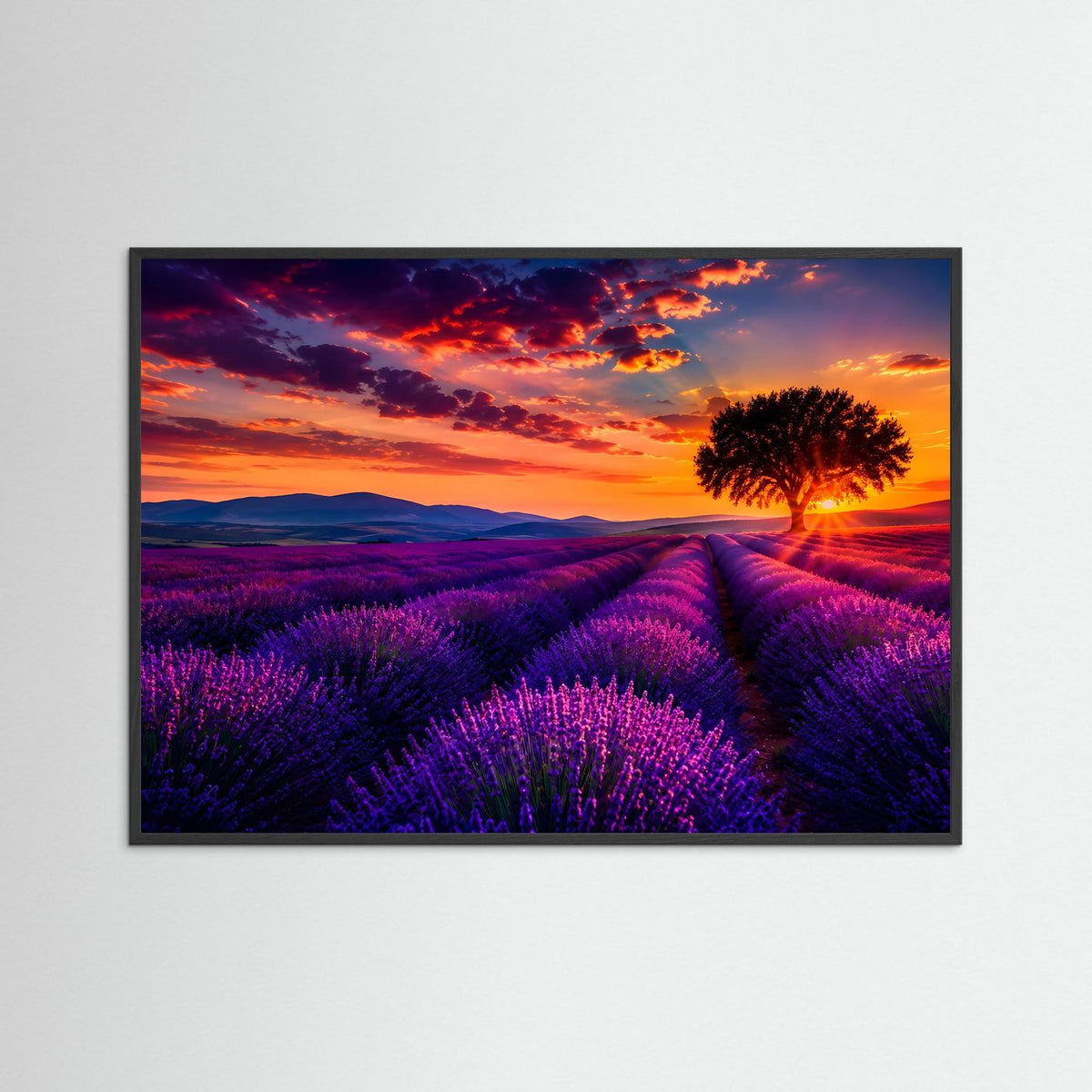Poster im Querformat mit schwarzem Rahmen: Lavendelfeld, einsamer Baum, Berge, Sonnenuntergang