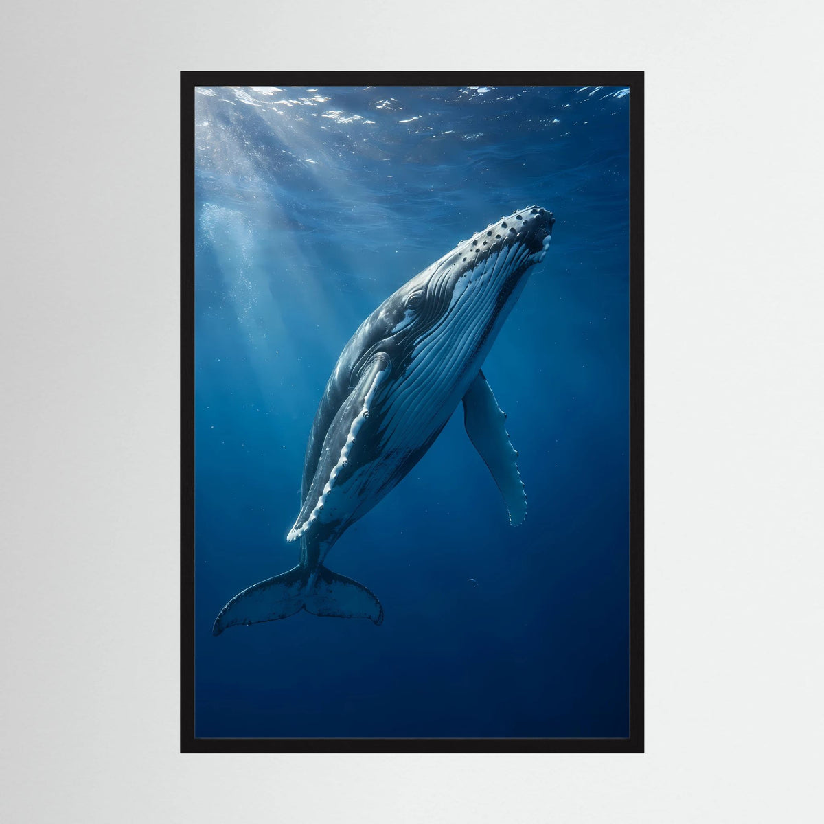 Poster mit Buckelwal unter Wasser, blauer Farbverlauf, Hochformat, schwarzer Rahmen