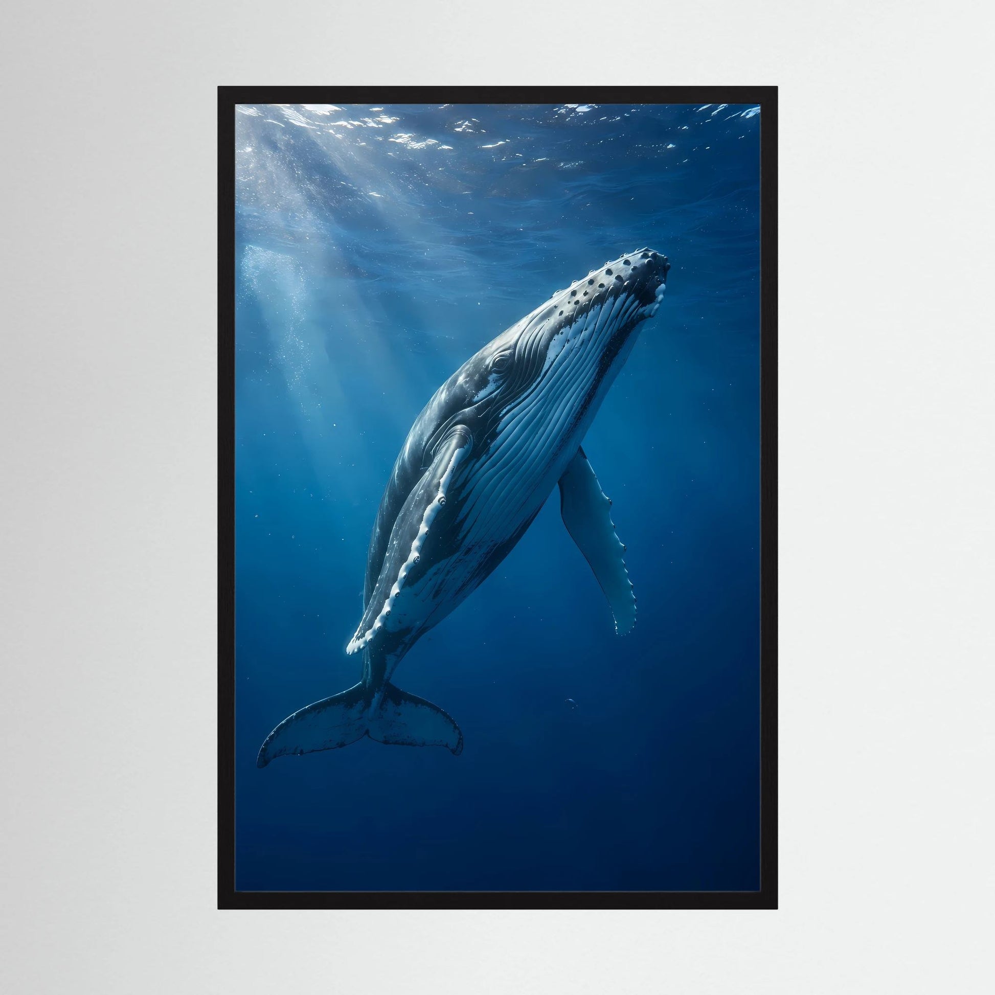 Poster mit Buckelwal unter Wasser, blauer Farbverlauf, Hochformat, schwarzer Rahmen