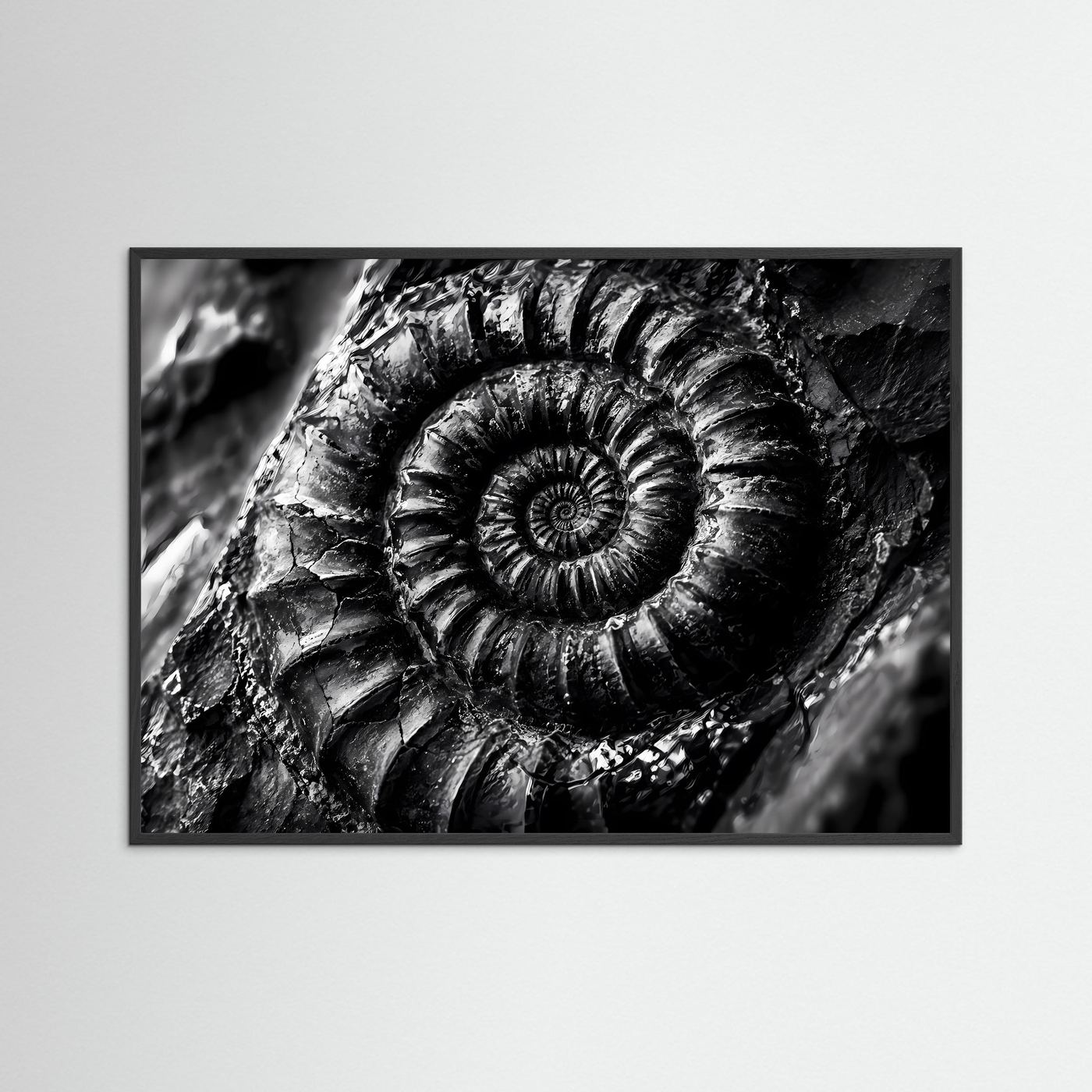 Ammonit Fossil Schwarz Weiß Poster | Makro Fossilien Wandkunst | Monochrome Naturkunst | Geologie Leinwand | Modernes Spiral Fossil Bild