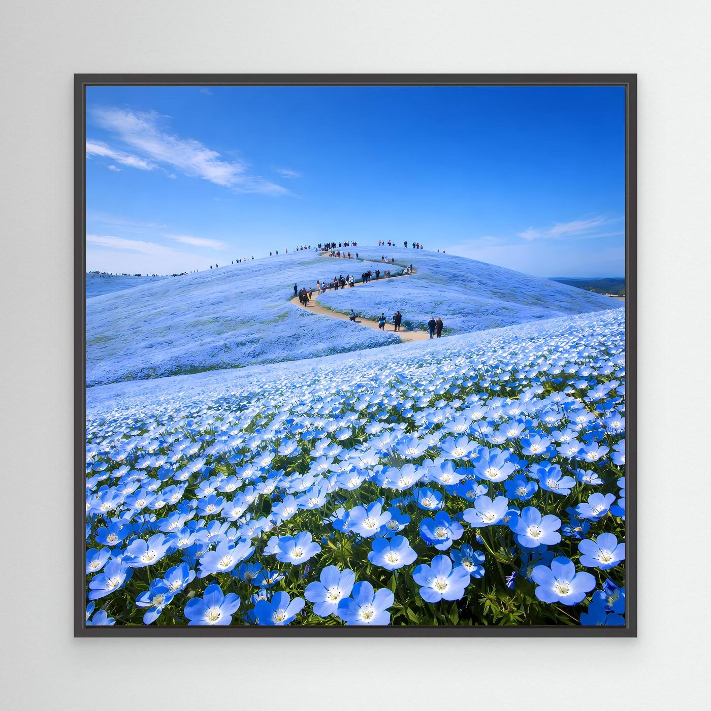 Leinwandbild mit blauem Blütenmeer und Hügeln, schwarzer Rahmen