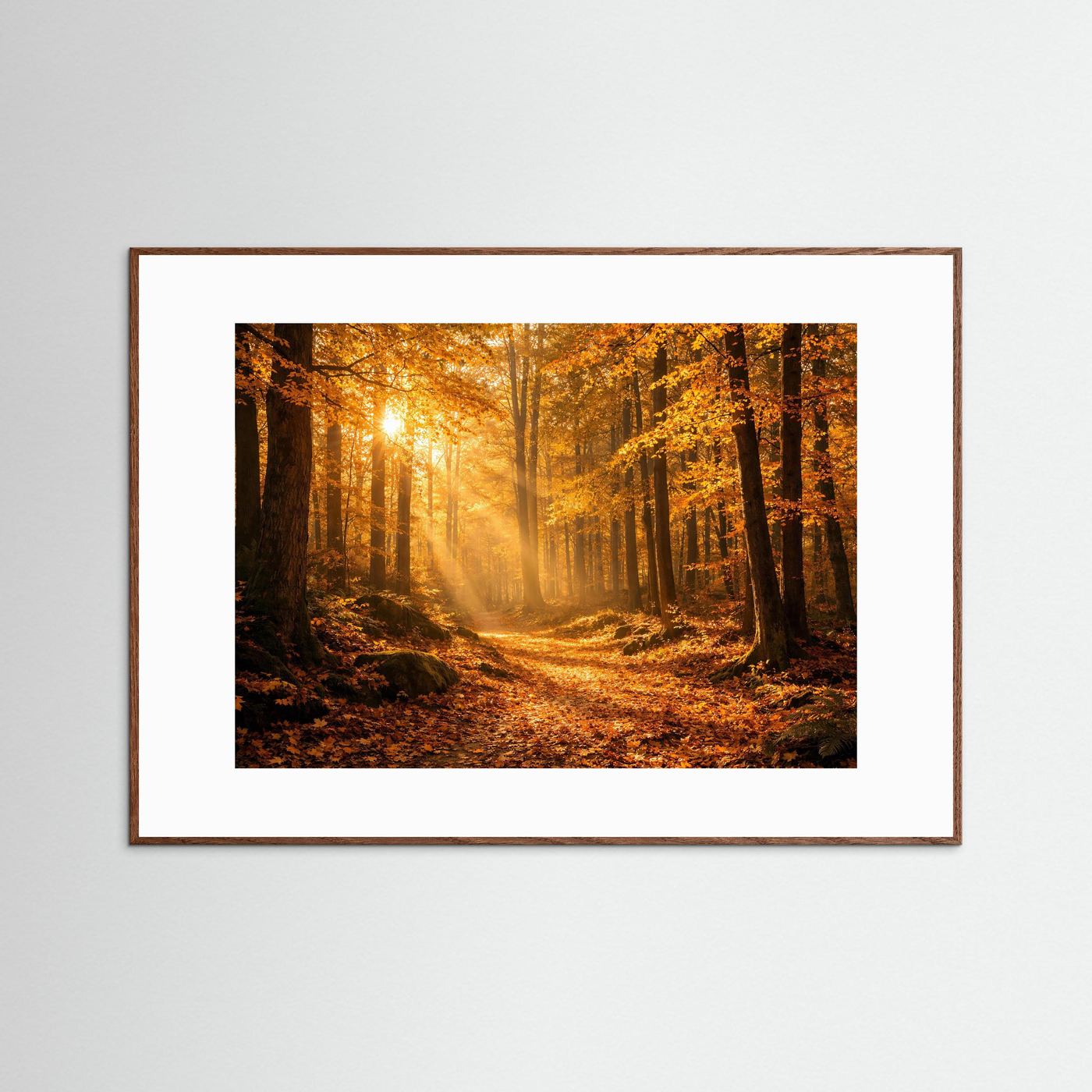 Goldener Herbstwald im Sonnenlicht | Panorama Wald & Natur Poster Querformat