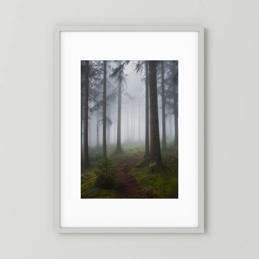 Hochformat-Poster mit nebligem Waldweg zwischen hohen Tannen, dunklem Moosboden