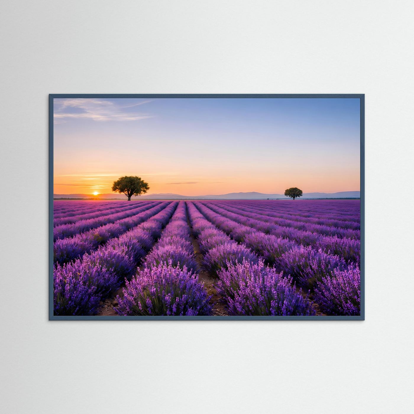 Lavendel-Panorama-Poster im Querformat, lila Lavendelfeld bei Sonnenuntergang