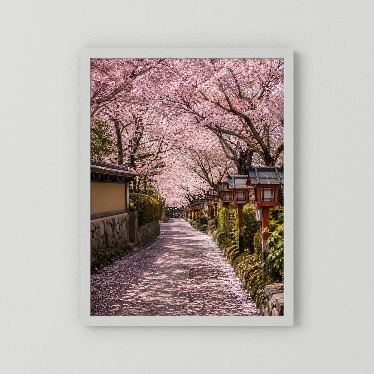 Wandposter im Hochformat mit weißem Rahmen, rosa Kirschblütenallee mit Laternen