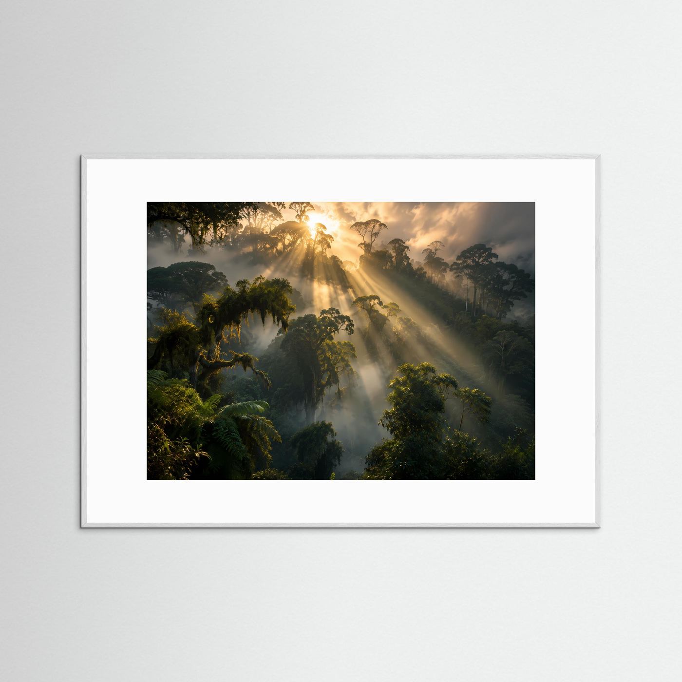 Wandposter Regenwald bei Sonnenaufgang, goldene Lichtstrahlen, weiß gerahmt