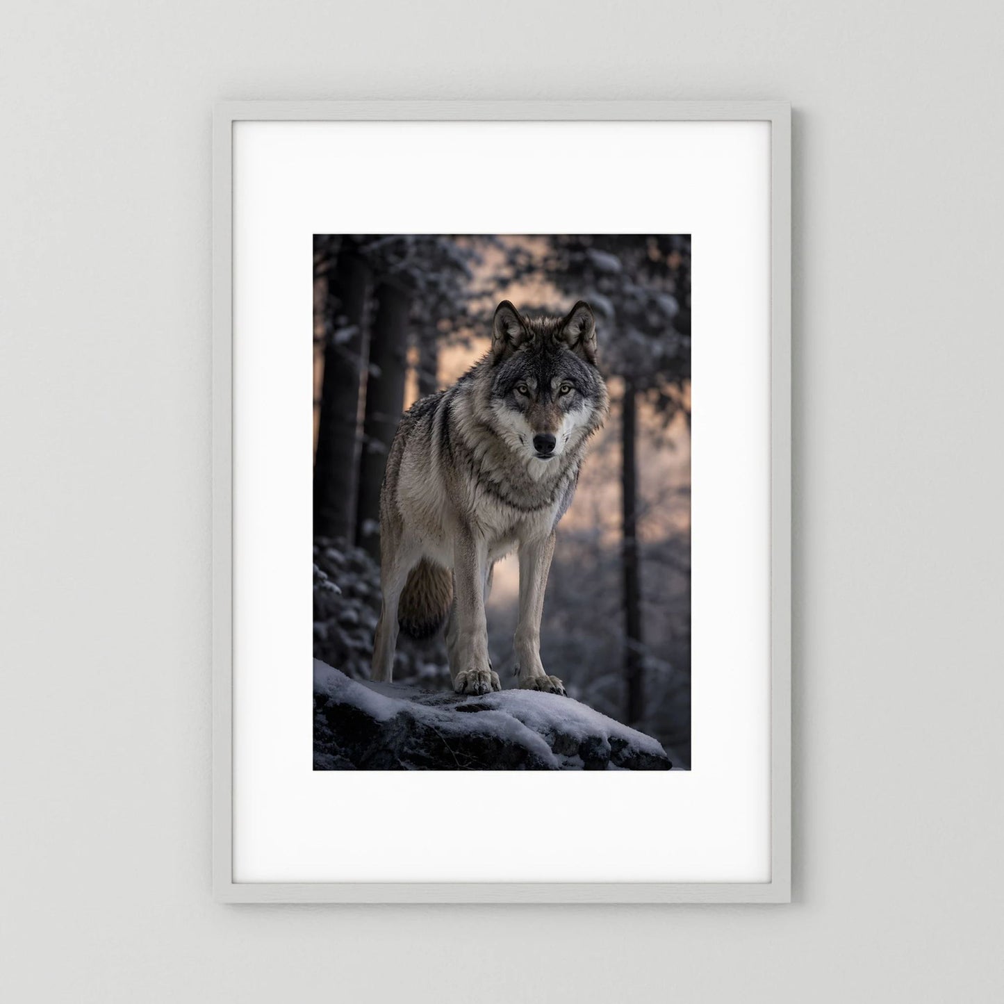 Poster im Hochformat mit grauem Wolf im Schnee auf Waldboden, im weißen Rahmen