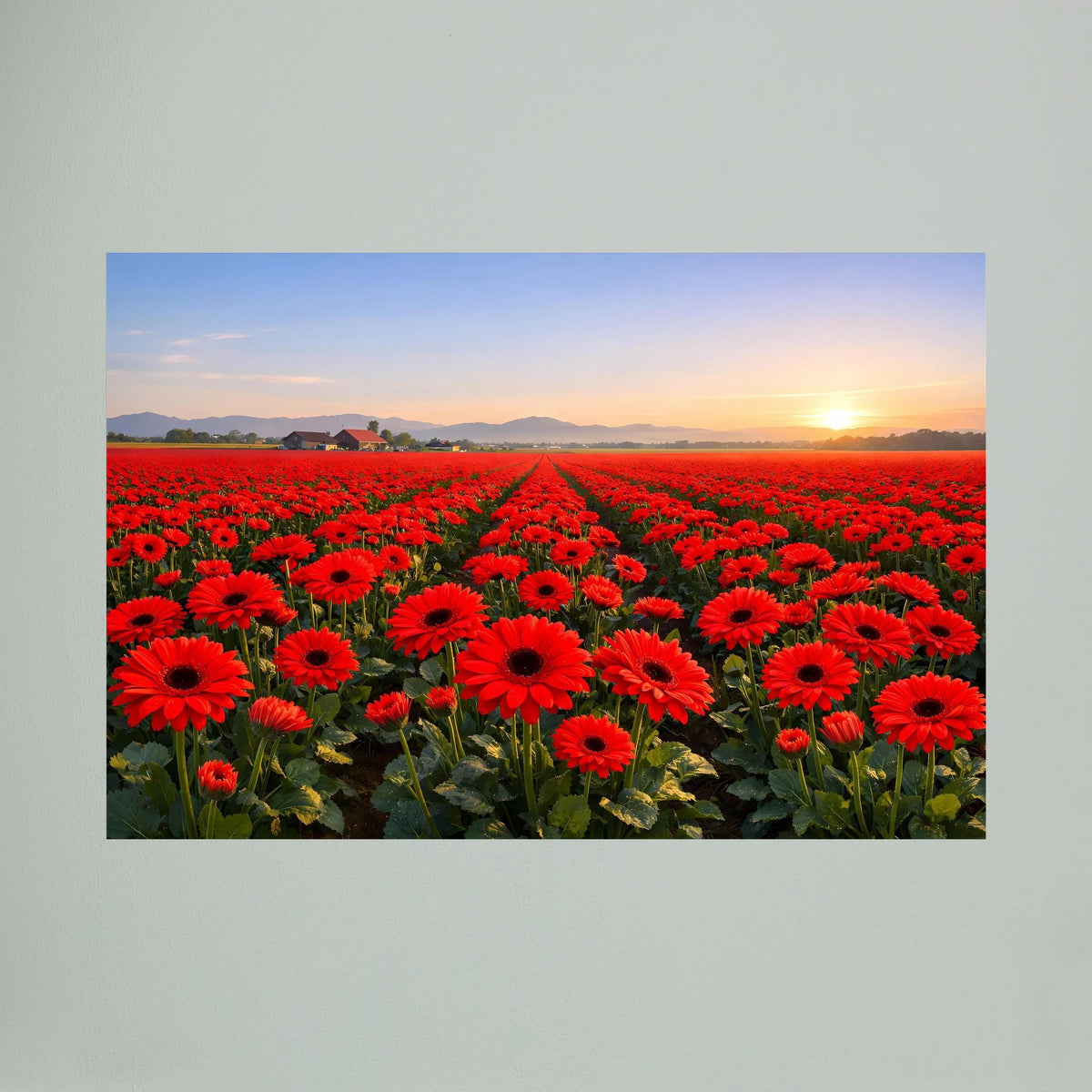 Wandposter in Nahansicht: rote Gerbera-Blumen und Sonnenaufgang, Querformat