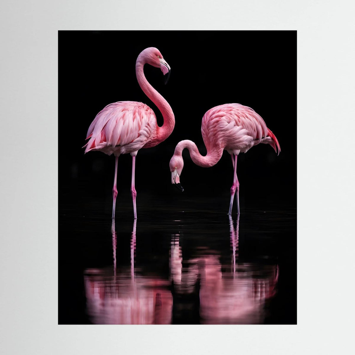 Tierposter mit zwei rosa Flamingos und Spiegelung, Hochformat