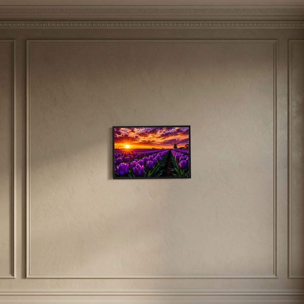 Kleines gerahmtes Poster mit violettem Tulpenfeld, Windmühle und Sonnenuntergang