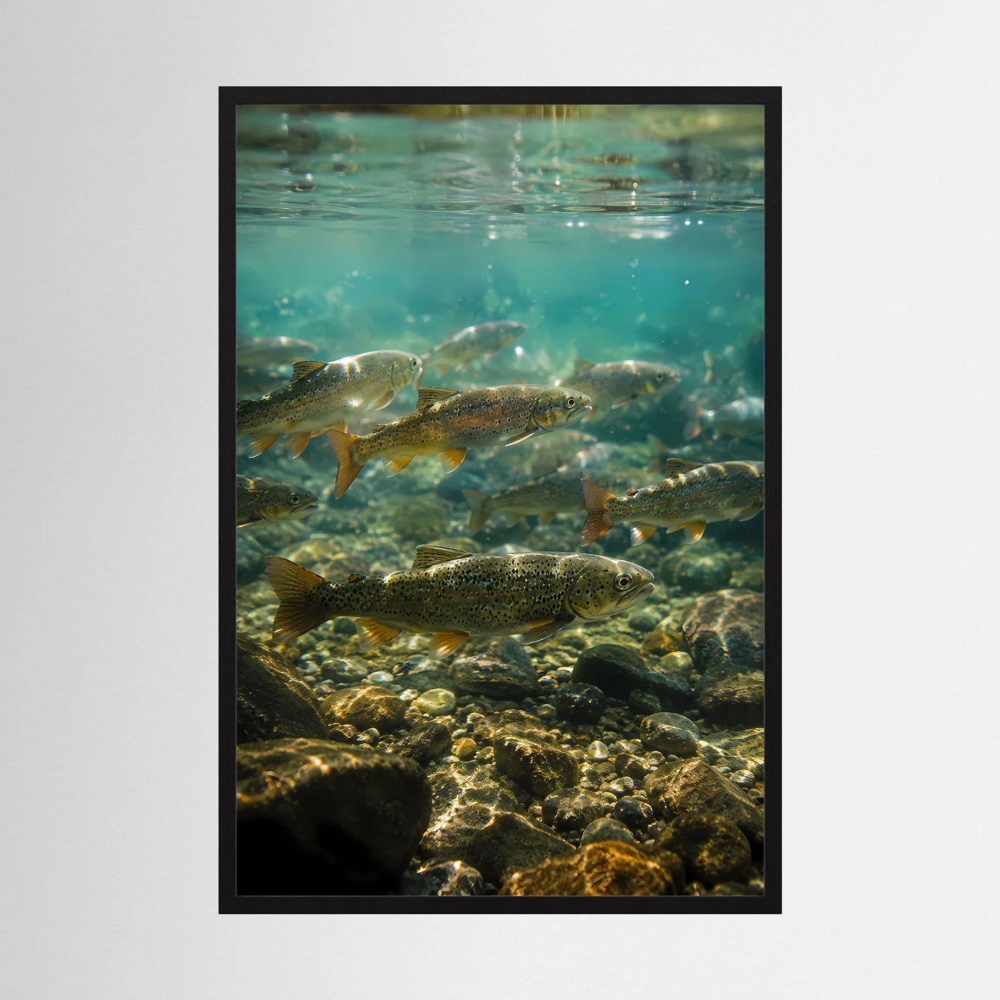 Hochformatiges Poster mit schwarzem Rahmen: Forellen im Unterwasser mit Steinen
