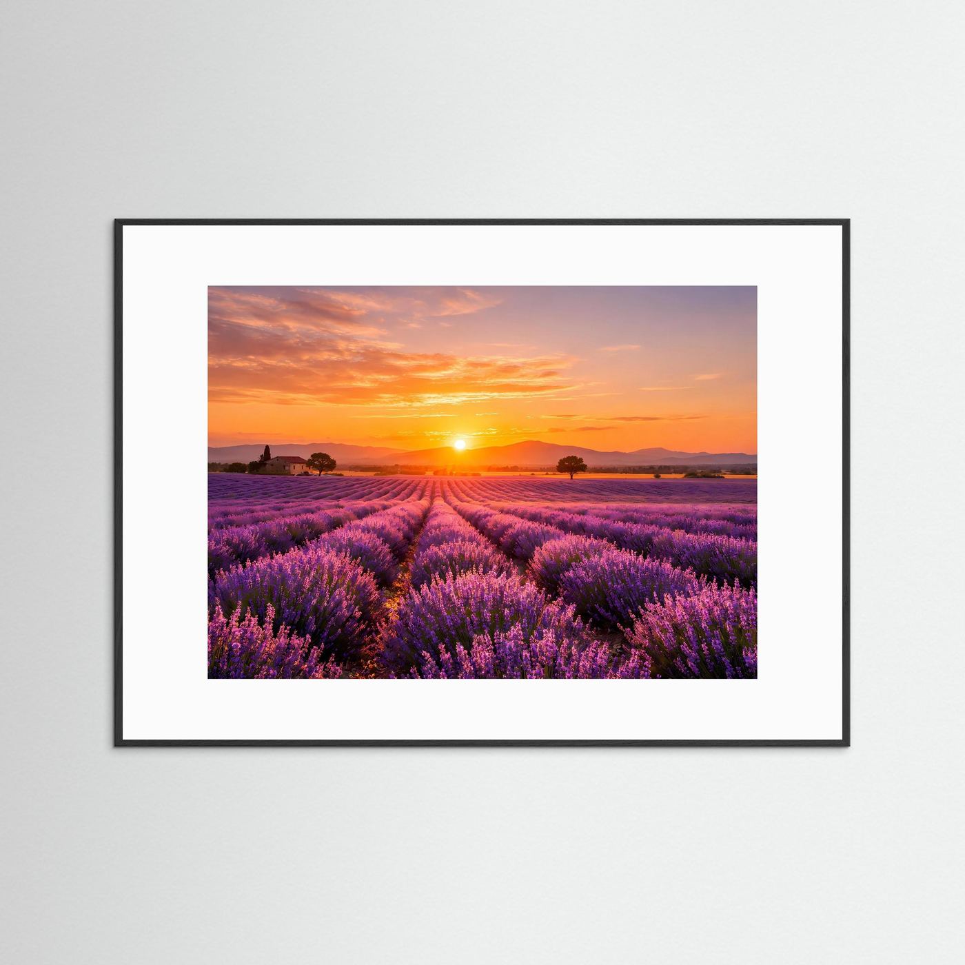 Poster mit Lavendelfeld und Sonnenuntergang, weißer Rahmen