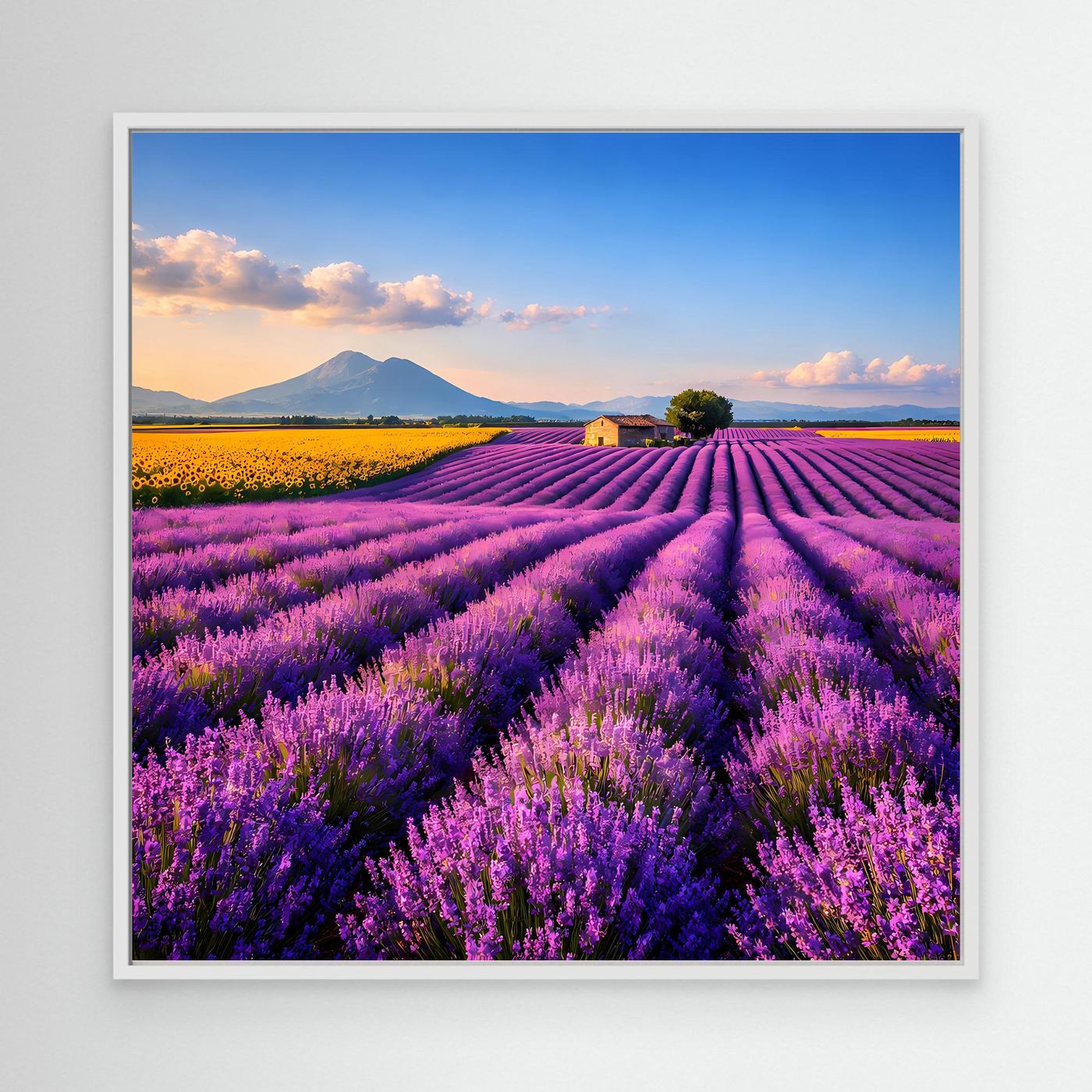 Leinwandbild mit Lavendelfeld in Provence-Optik, lila Blütenreihen, silberner Rahmen