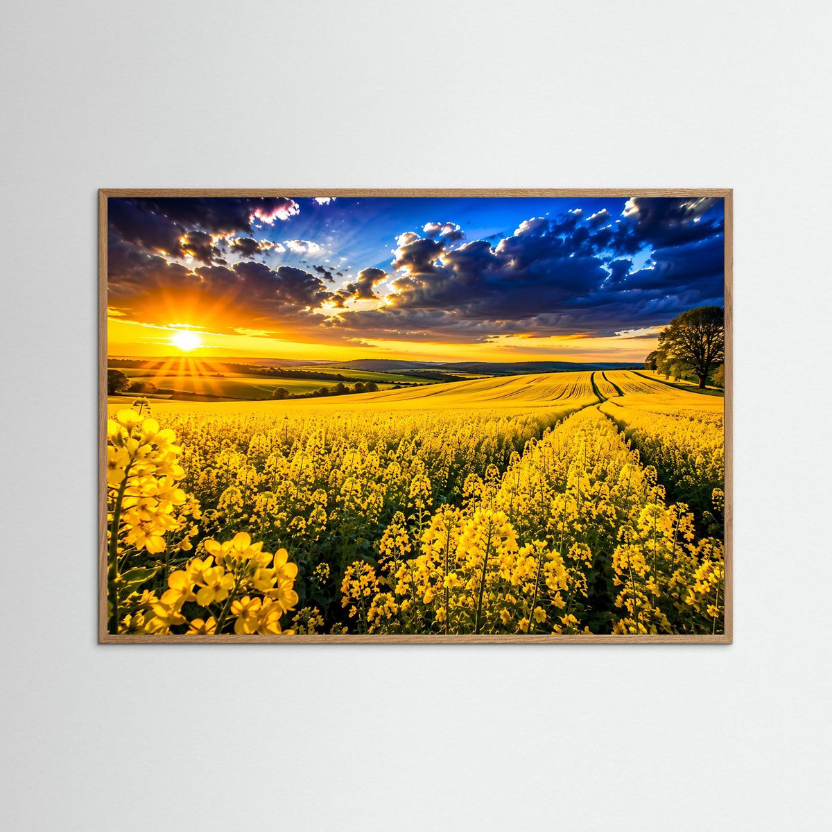 Querformat-Poster mit dunkelblauem Rahmen: Rapsfeld bei Sonnenuntergang, gelbe Blüten