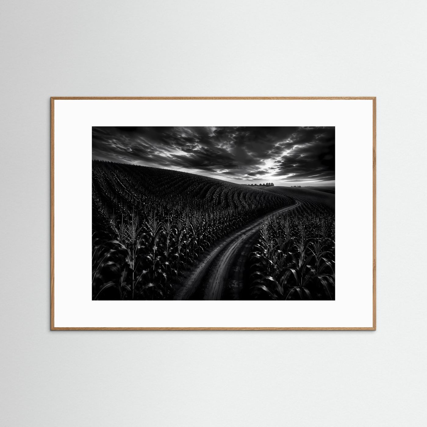 Schwarz Weiß Landschaft mit Feldweg | Dramatisches Natur Wandbild | Monochrome Landschaftsfotografie | Modernes Leinwandbild | Premium Poster