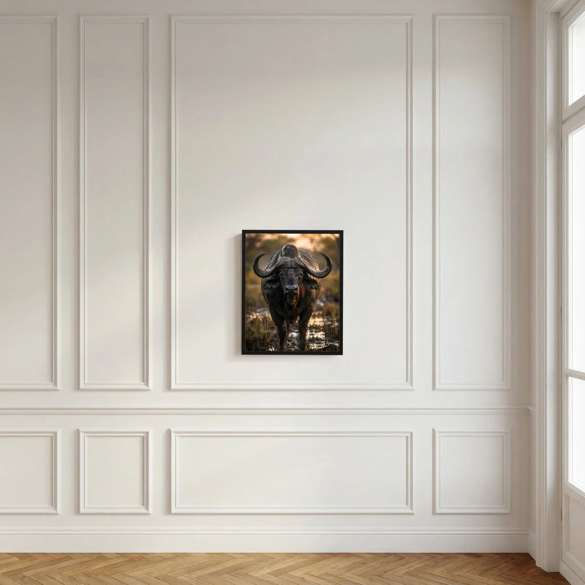 Tierposter mit schwarzem Kaffernbüffel im Rahmen, zentriert an der Wand