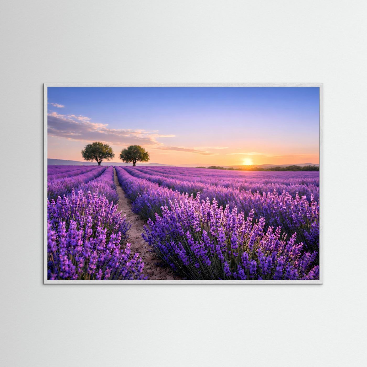 Querformatiges Poster mit violetten Lavendelfeldern und Sonnenuntergang, blaue Rahmenkante