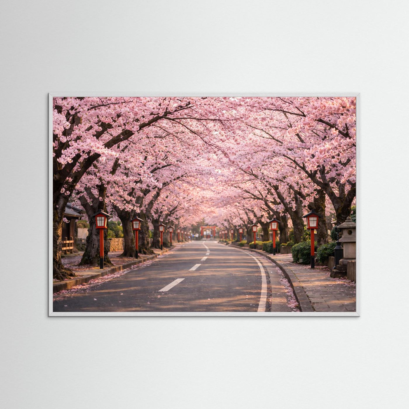Gerahmtes Poster mit Kirschblütenallee im Frühling, weißer Holzrahmen