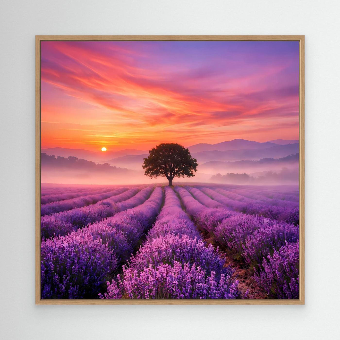 Leinwandbild Lavendelfeld mit Sonnenaufgang und Baum, Eichenrahmen