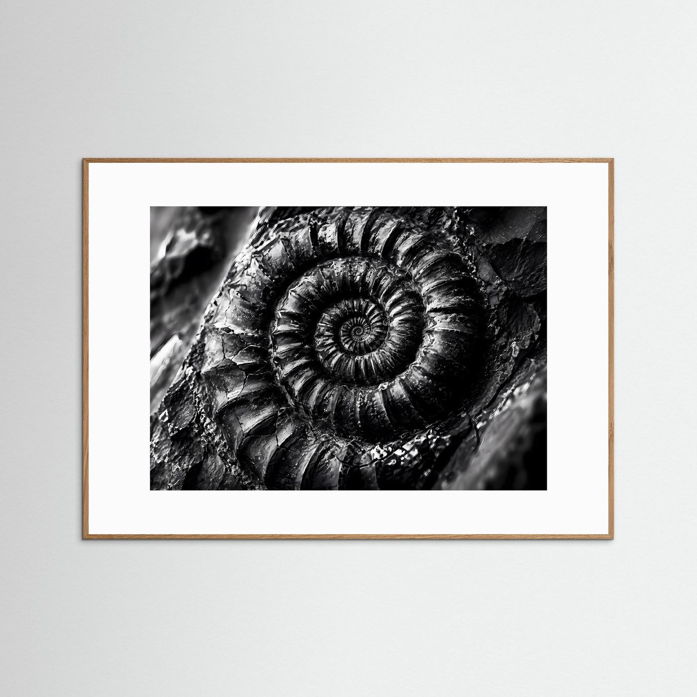 Ammonit Fossil Schwarz Weiß Poster | Makro Fossilien Wandkunst | Monochrome Naturkunst | Geologie Leinwand | Modernes Spiral Fossil Bild