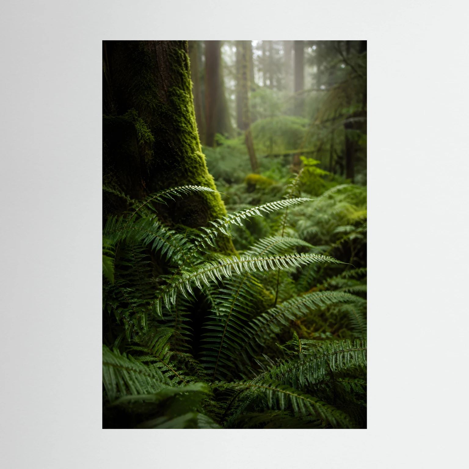 Hochformatiges Poster mit grünem Farn im Wald, moosbewachsener Stamm im Vordergrund