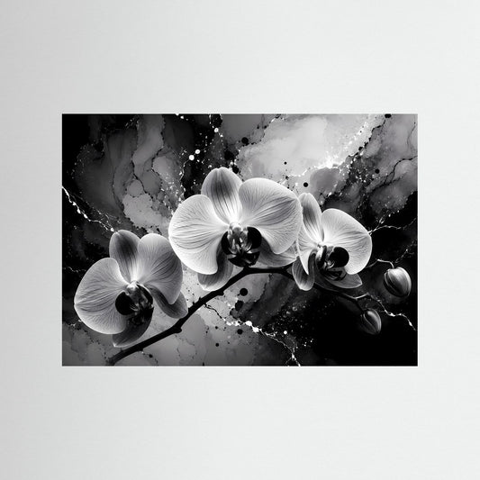 Orchideen-Wandbild mit schwarz-weißem Motiv und weißen Orchideenblüten im schwarzen Rahmen.