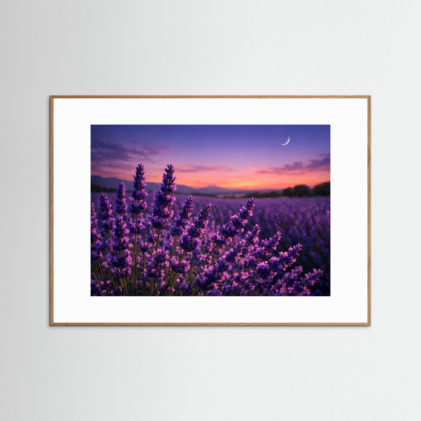 Lavendelnacht unter Sternen | Provence & Mondschein Panorama Poster Querformat
