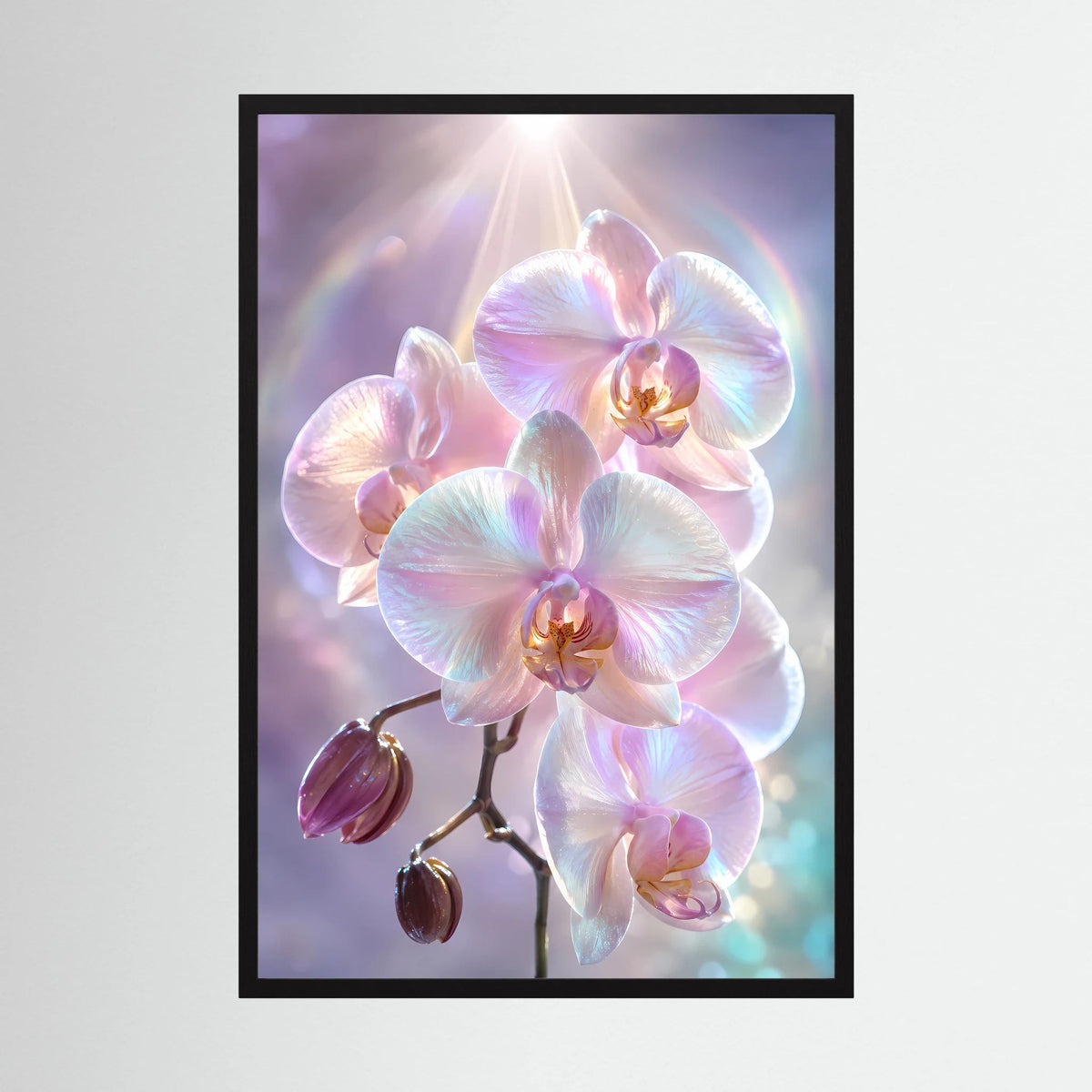 Kunstposter im schwarzen Rahmen mit schimmernden Orchideenblüten in Rosa und Perlmutt