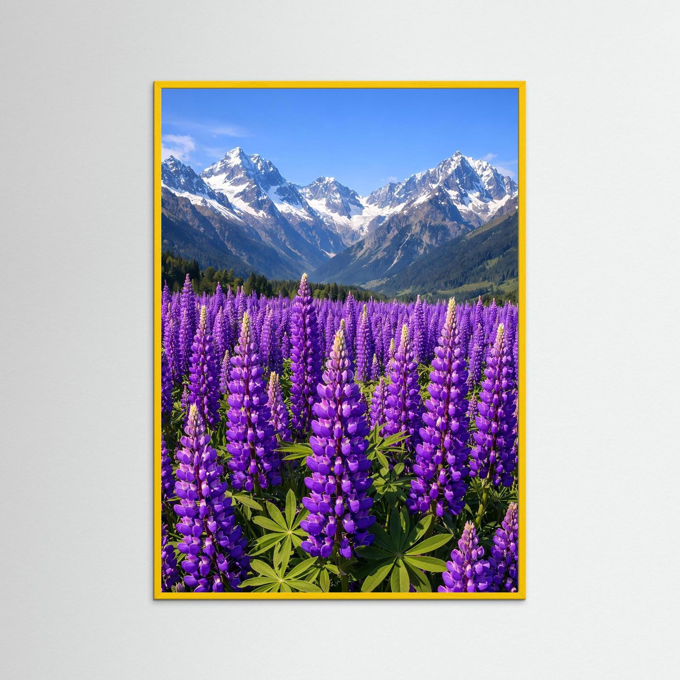 Poster Lupinenfeld vor Bergkulisse | Lila Blumenwiese Wandbild