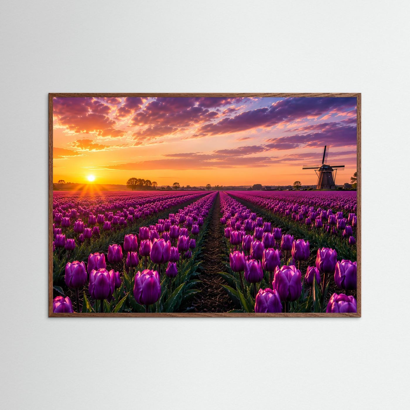 Lila Tulpenfeld-Druck im braunen Holzrahmen, lila Tulpenreihen auf Feldweg bei Sonnenuntergang