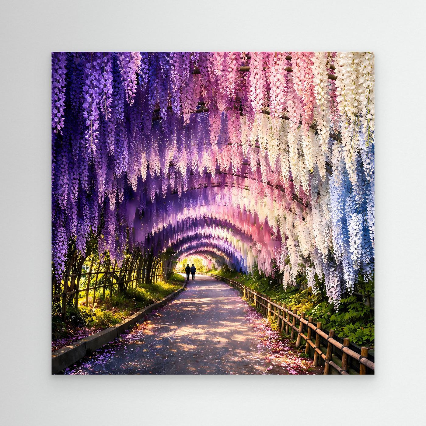Leinwandbild: lila Blütenregen-Tunnel über Weg, Blick in die Ferne, ohne sichtbaren Rahmen