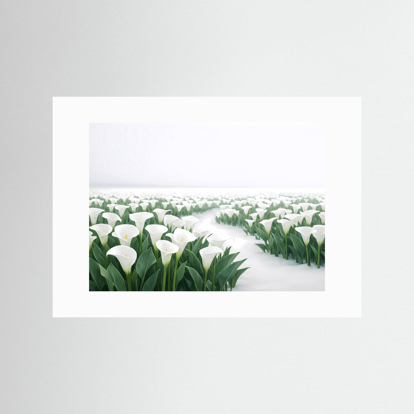 Weiße Calla Lilien im Schnee | Elegantes Blumen & Natur Poster Querformat