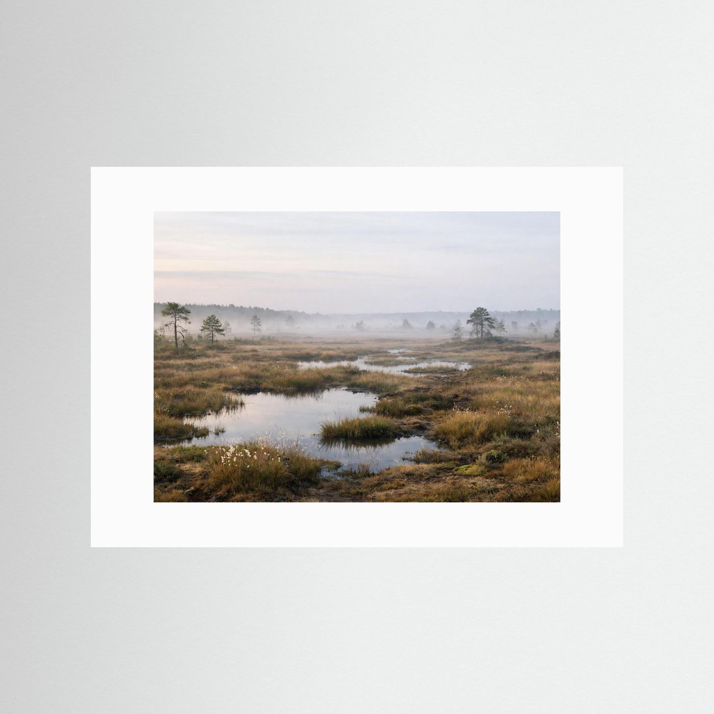 Poster mit Panorama-Moorlandschaft: Wasserlauf und Schilf im Morgennebel, weißes Passepartout.