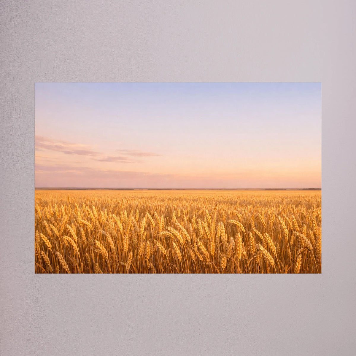Querformatiges Poster mit goldenem Weizenfeld bei Sonnenuntergang, ohne Rahmen