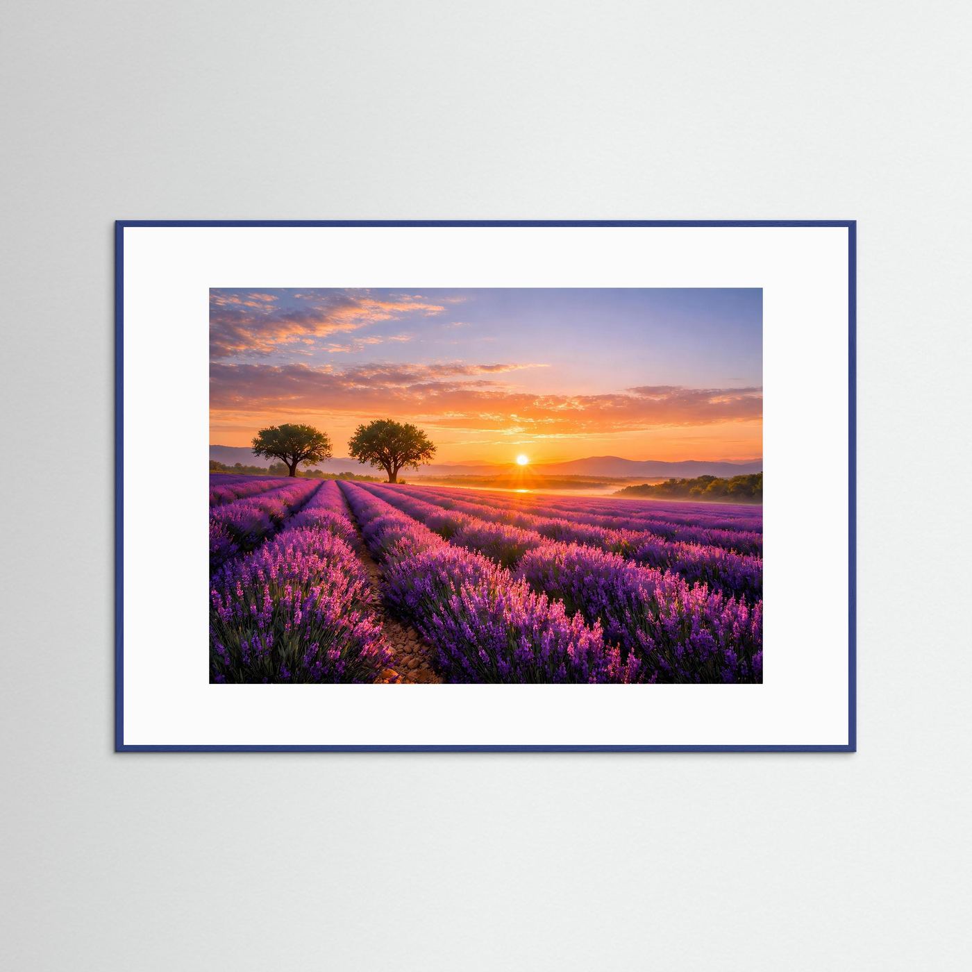 Wandbild mit weißem Passepartout und blauem Rahmen: Lavendelfeld bei Sonnenuntergang