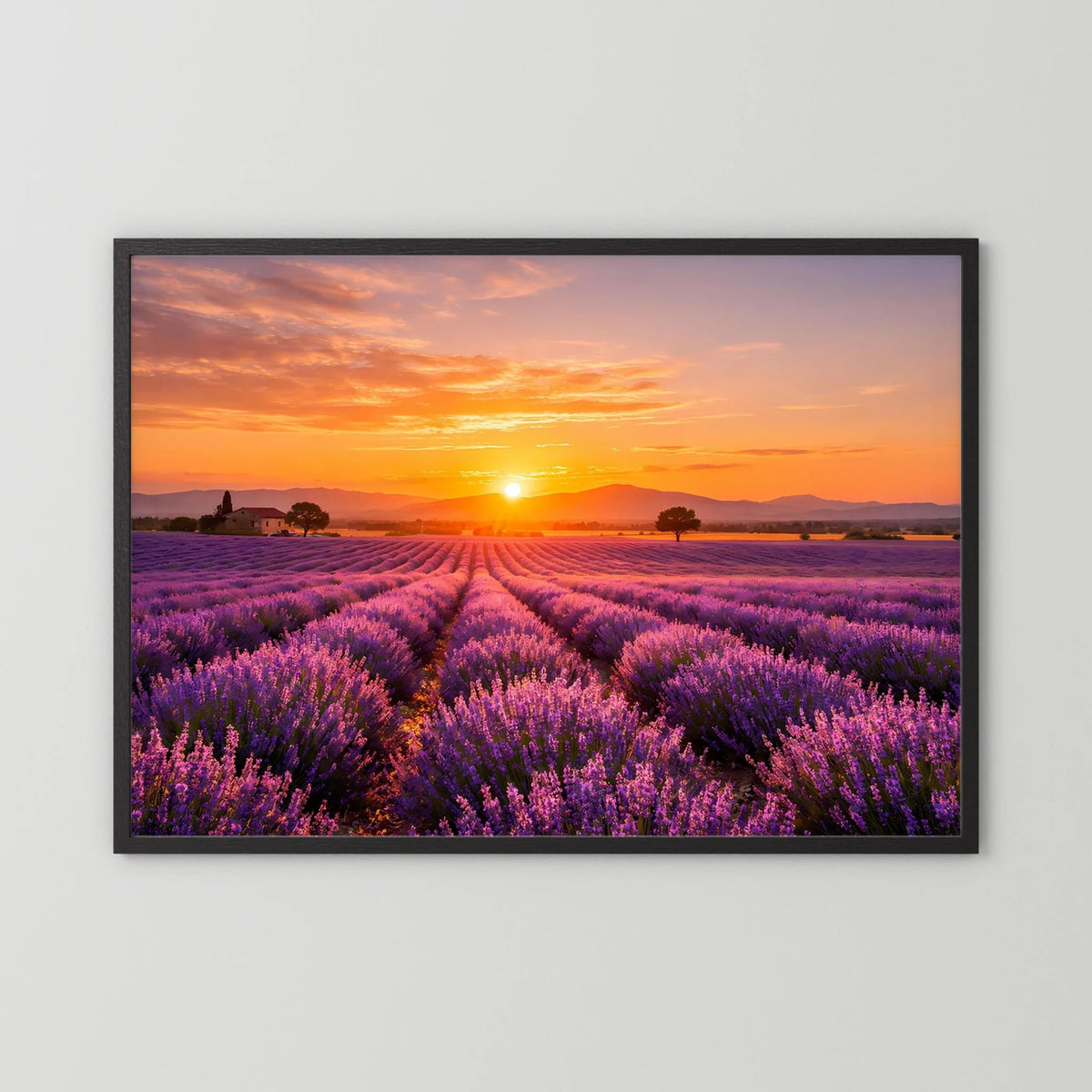 Lavendelfeld-Wandbild im Querformat mit Sonnenuntergang, schwarzer Holzrahmen
