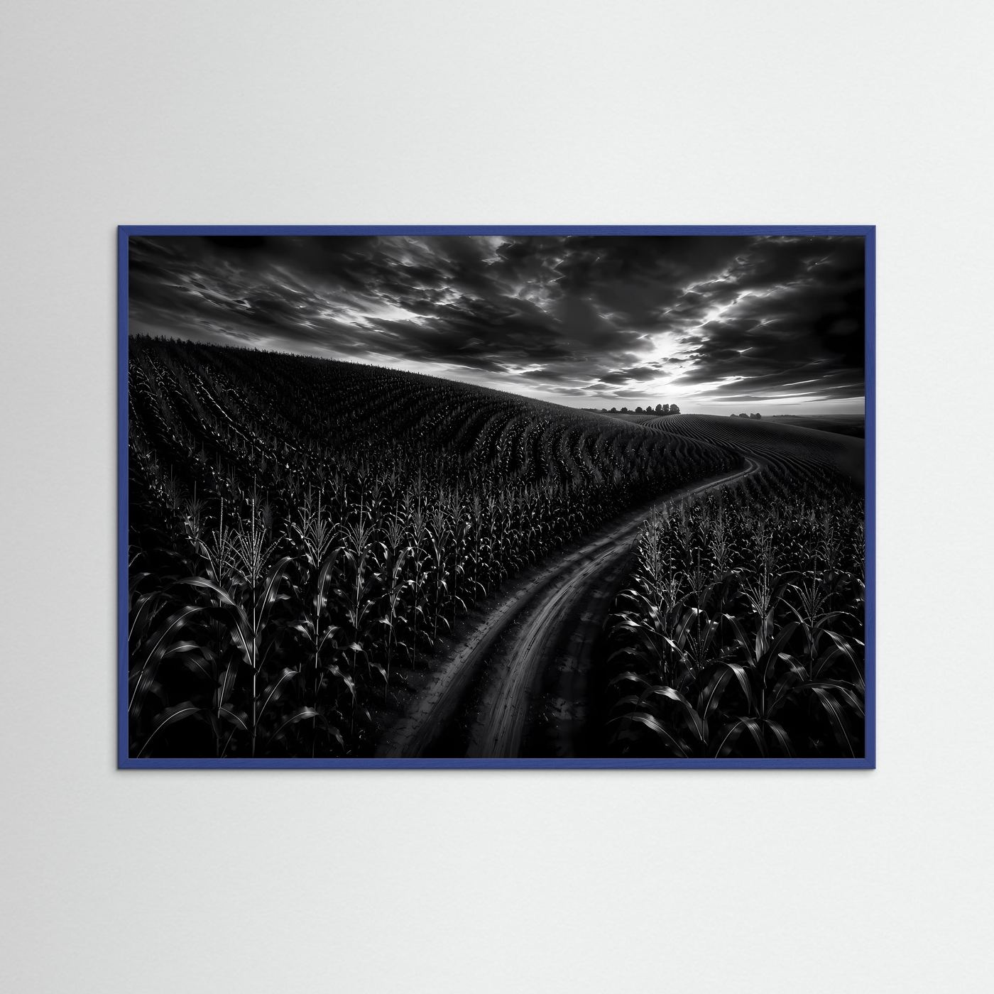 Schwarz Weiß Landschaft mit Feldweg | Dramatisches Natur Wandbild | Monochrome Landschaftsfotografie | Modernes Leinwandbild | Premium Poster