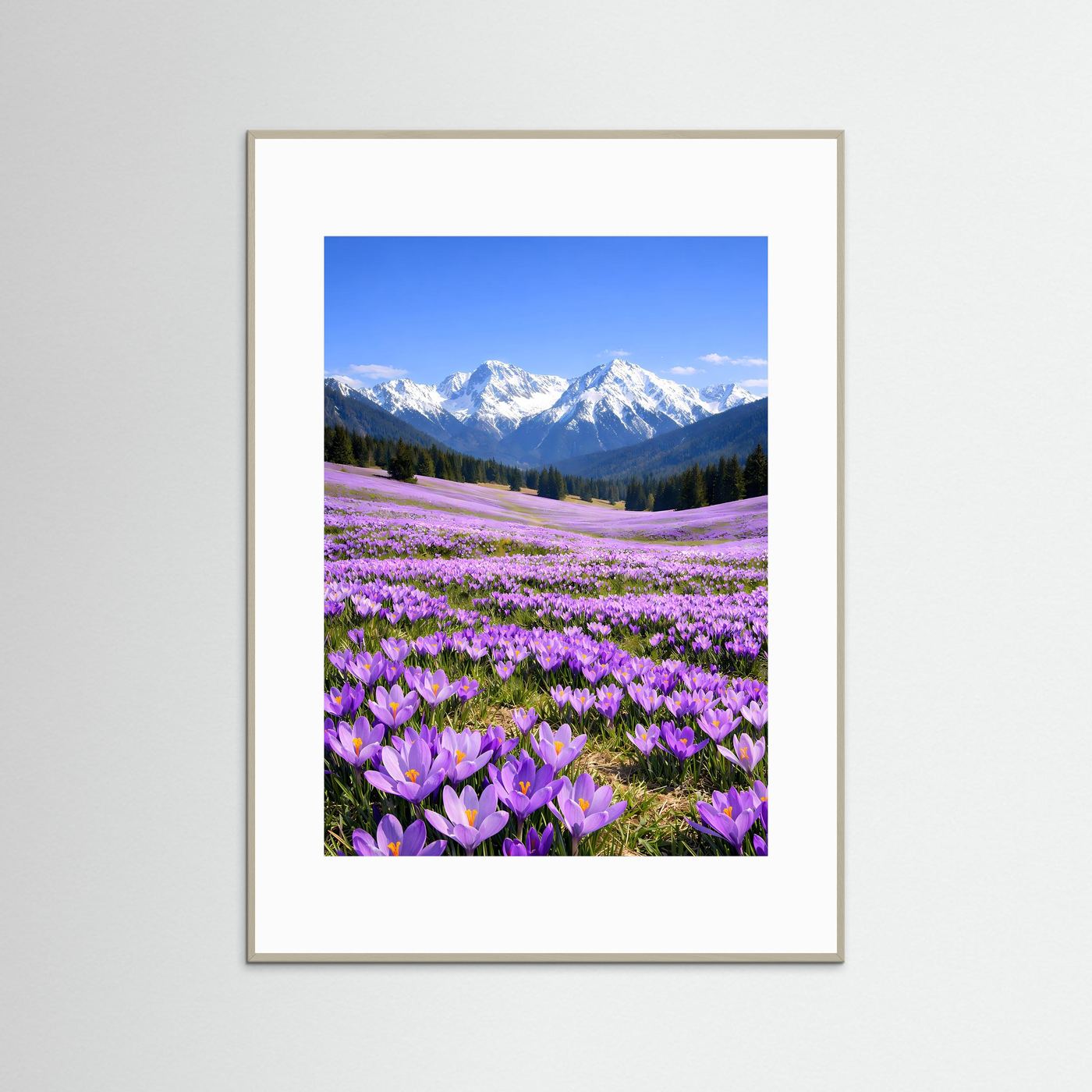 Poster mit violetten Krokusblüten, schneebedeckten Bergen und grauem Rahmen