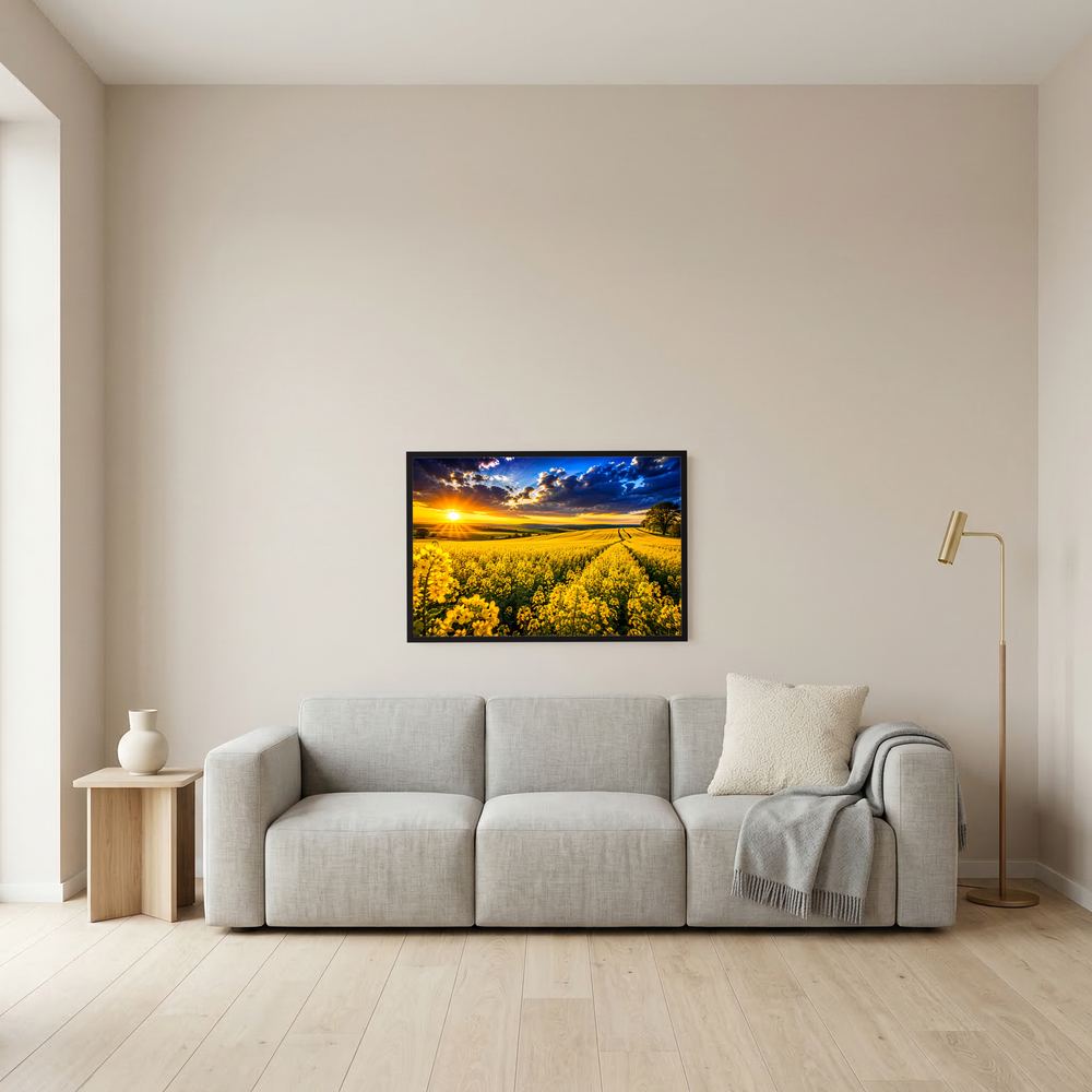 Poster mit Rapsfeld im Sonnenuntergang, gelbe Blüten, schwarzer Rahmen