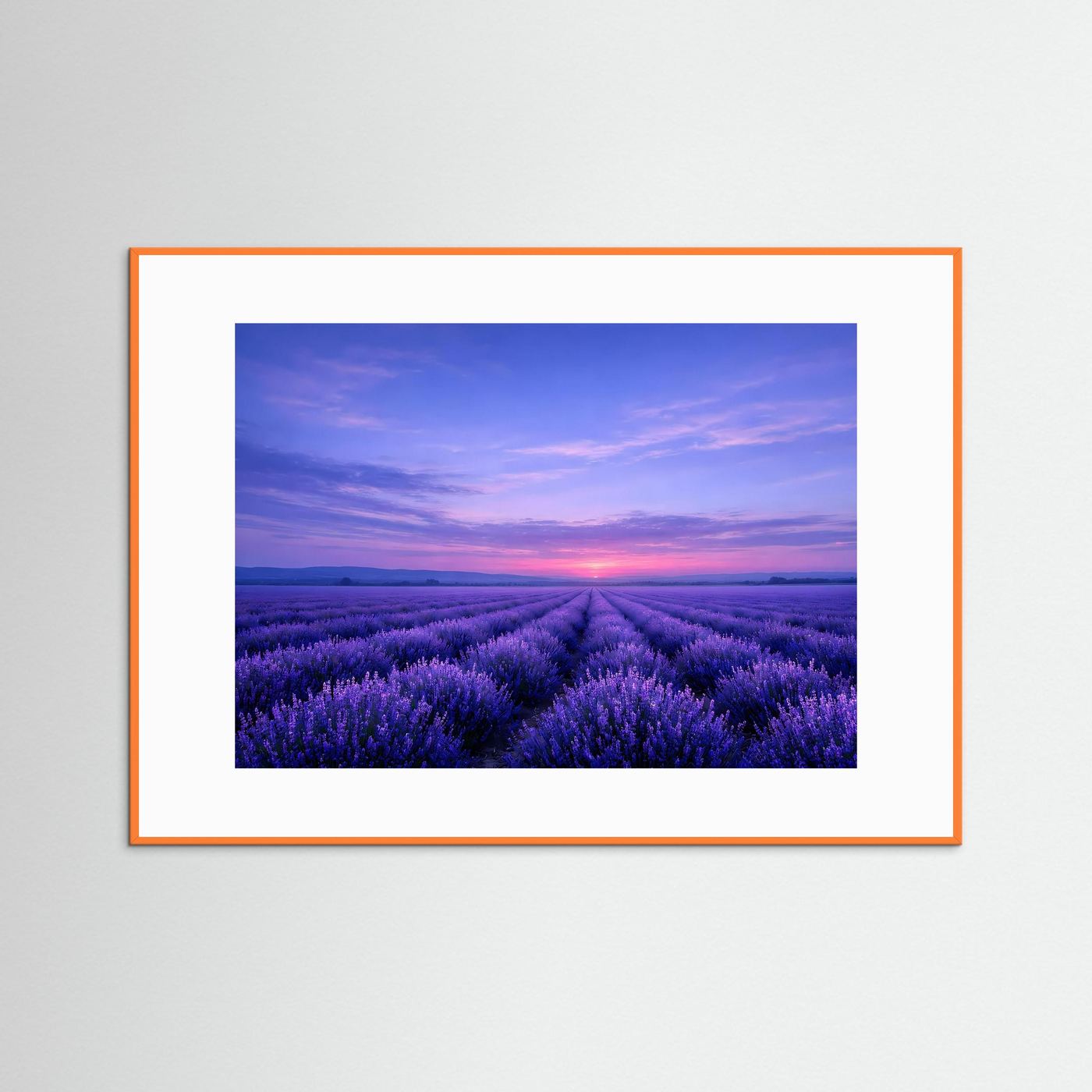 Poster Lavendelfeld im Sonnenuntergang | Majestätisches Violettes Wandbild
