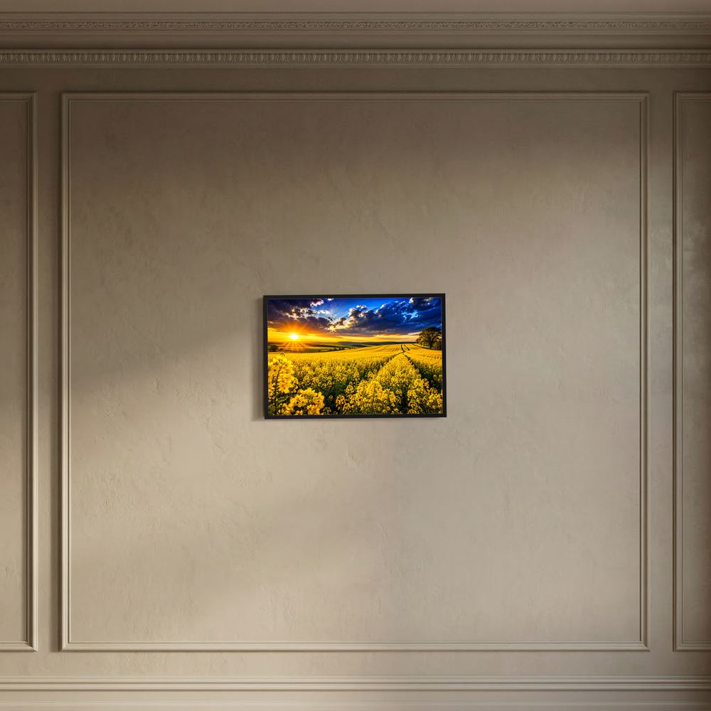 Poster mit Rapsfeld im Sonnenuntergang, gelbe Blüten, dunkler Holzrahmen im Relief