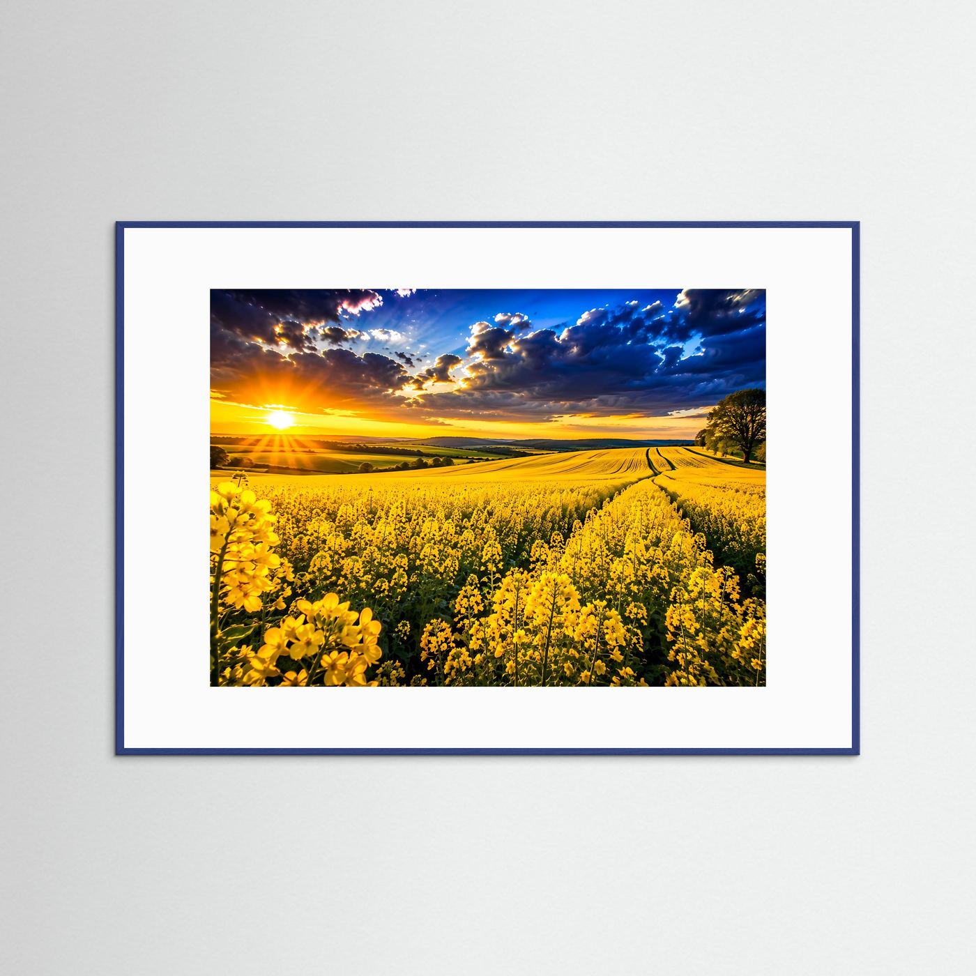 Poster mit Rapsfeld im Sonnenuntergang, gelbe Blüten und blauer Himmel, blauer Rahmen