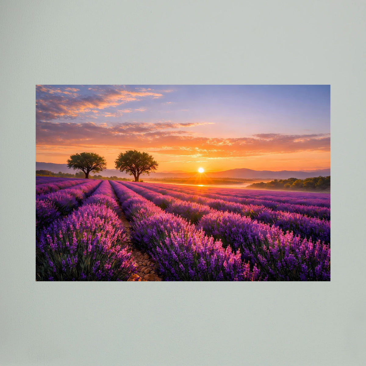 Poster im Querformat mit Lavendelreihen, lila Blüten und goldener Abendsonne