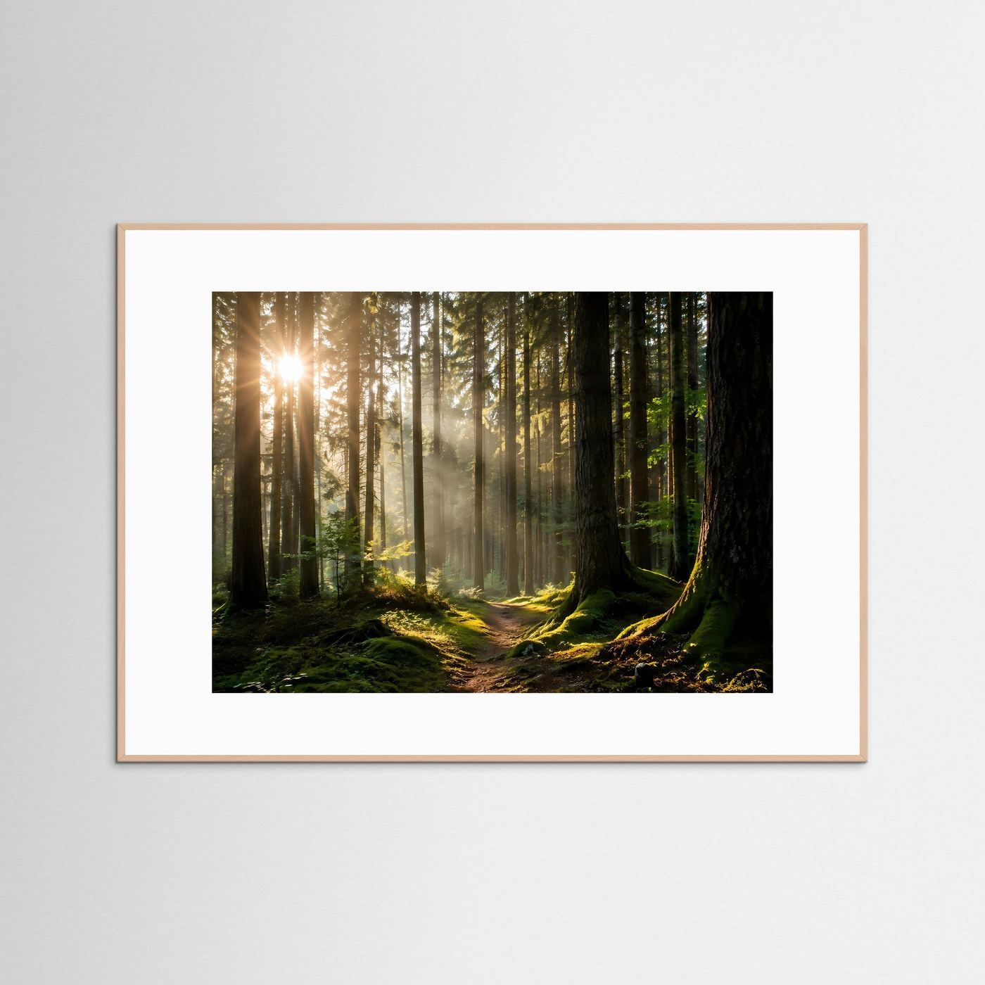 Sonnenstrahlen im Wald | Mystische Waldlandschaft Wandkunst