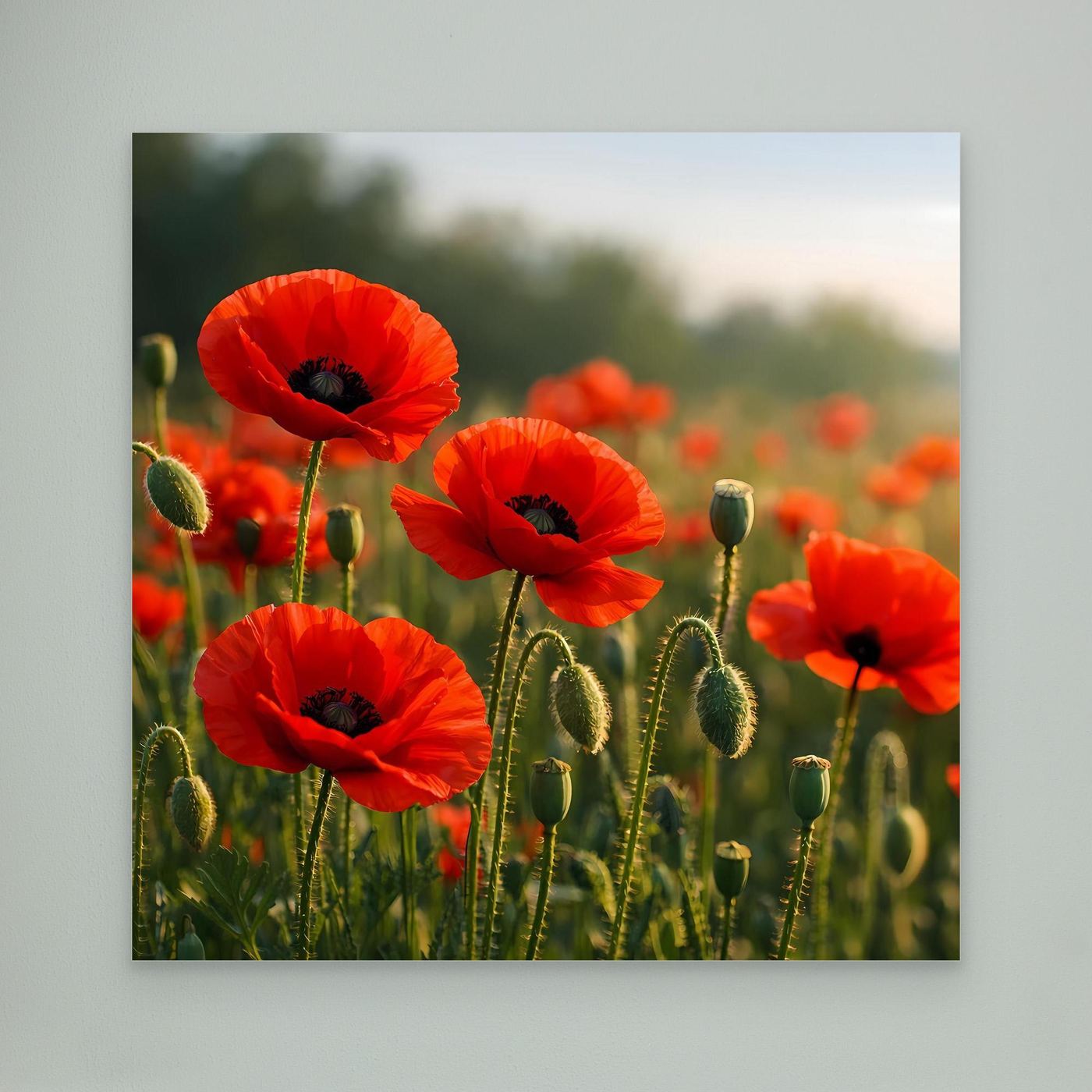 Klatschmohn-Wandbild ohne Rahmen, rote Blüten und grüne Kapseln im Feld